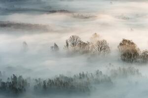 Fotografi Winter fog, Marco Galimberti