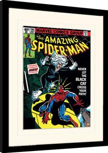 Inramad poster Spiderman - Black Cat