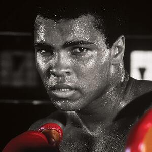 Canvastavla Muhammad Ali - Boxing Gloves, (60 x 80 cm)