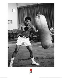 Konsttryck Muhammad Ali - Punch Bag, (60 x 80 cm)
