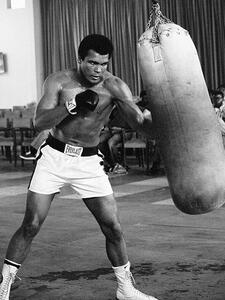 Canvastavla Muhammad Ali - Punch Bag, (60 x 80 cm)