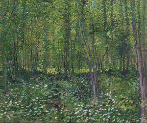 Vincent van Gogh - Bildreproduktion Trees and Undergrowth, 1887, (40 x 35 cm)