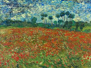 Bildreproduktion Poppy Fields - Vincent van Gogh, (40 x 30 cm)