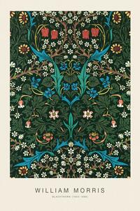 Bildreproduktion Blackthorn (Special Edition Classic Vintage Pattern) - William Morris