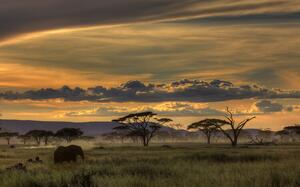 Fotografi Africa, Amnon Eichelberg