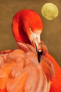 Illustration Flamingo With Golden Sun, Kubistika