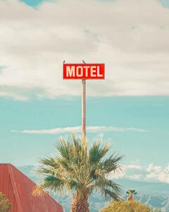 Fotografi This Motel is for the Birds, Tom Windeknecht