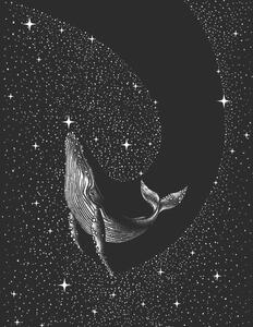 Illustration Starry Whale, Aliriza Cakir