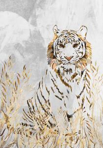 Illustration Golden Tiger in the leaves, Sarah Manovski