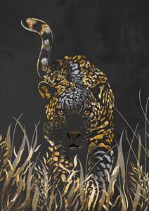 Illustration Black gold jaguar in grass, Sarah Manovski
