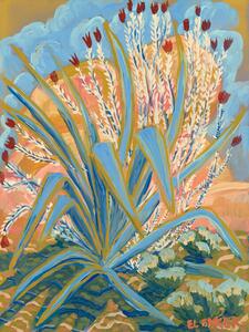 Illustration Field flower, Eleanor Baker