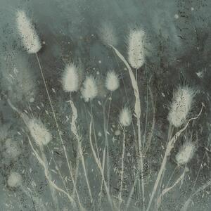 Illustration Small grasses, Nel Talen