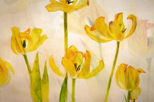 Illustration Flowering tulips, Nel Talen