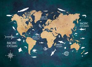Illustration World map 3, Justyna Jaszke