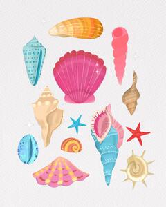 Illustration Seashells, Petra Lizde, (30 x 40 cm)