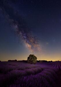 Fotografi Milky Way dreams, Carlos Hernandez Martinez