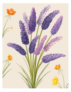 Illustration Purple flower, Bohonewart