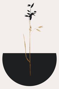 Illustration Planta Negra, Kubistika, (26.7 x 40 cm)