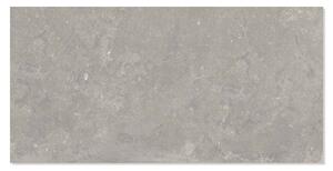 Ariana Klinker Memento Bruges Grey Matt 60x120 cm