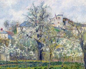 Camille Pissarro - Konsttryck The Vegetable Garden with Trees in Blossom, Spring, Pontoise, (40 x 30 cm)