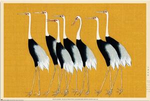 Poster, Affisch Ogata Korin - Flock of Beatiful Japanese Red Crown Crane, (91.5 x 61 cm)