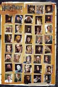 Poster, Affisch Harry Potter - Karaktärer