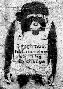Poster, Affisch Banksy street art - chimp, (42 x 59 cm)
