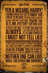 Poster, Affisch Harry Potter - Quotes