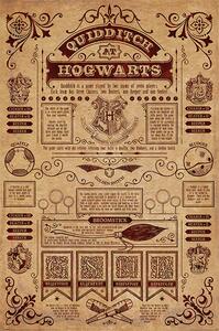 Poster, Affisch Harry Potter - Quidditch