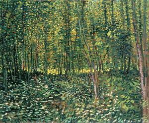 Vincent van Gogh - Konsttryck Trees and Undergrowth, 1887, (40 x 35 cm)