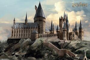 Poster, Affisch Harry Potter - En dag på Hogwarts, (91.5 x 61 cm)