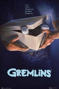 Poster, Affisch Gremlins - Originals, (61 x 91.5 cm)