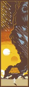 Poster, Affisch Star Wars Episod IV: Ett nytt hopp, (53 x 158 cm)