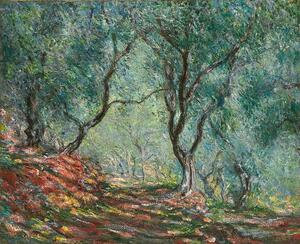 Monet, Claude - Bildreproduktion Olive Trees in the Moreno Garden; Bois d'oliviers au jardin Moreno, (40 x 35 cm)
