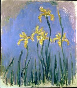 Monet, Claude - Konsttryck Yellow Irises; Les Iris Jaunes, c.1918-1925, (35 x 40 cm)