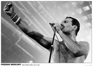 Poster, Affisch Freddie Mercury - Wembley 1984, (84.1 x 59.4 cm)