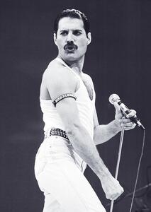 Poster, Affisch Freddie Mercury - Live Aid, (59.4 x 84.1 cm)