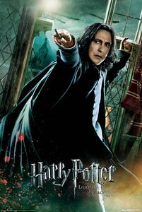 Poster, Affisch Harry Potter - Severus Snape