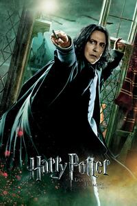 Konsttryck Harry Potter och dödsrelikerna - Snape, (26.7 x 40 cm)