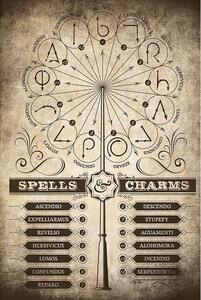 Poster, Affisch Harry Potter - Spells and Charms, (61 x 91.5 cm)