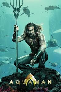 Konsttryck Aquaman, (26.7 x 40 cm)