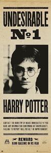 Poster, Affisch Harry Potter - Undersirable no. 1