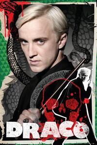Poster, Affisch Harry Potter - Draco, (61 x 91.5 cm)