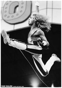 Poster, Affisch Van Halen - David Lee Roth 1980, (59.4 x 84.1 cm)