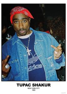 Poster, Affisch Tupac Shakur - N.Y.C 1993