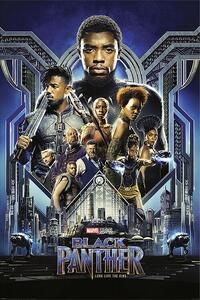 Poster, Affisch Black Panter - Characters
