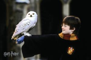 Konsttryck Harry Potter with Hedvig, (40 x 26.7 cm)