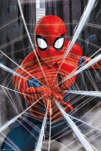 Poster, Affisch Spider-Man - Gotcha!, (61 x 91.5 cm)