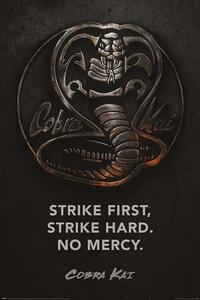 Poster, Affisch Cobra Kai - Metal, (61 x 91.5 cm)