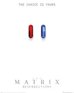 Poster, Affisch The Matrix: Resurrections - The Choice is Yours, (61 x 91.5 cm)